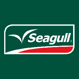 Seagull